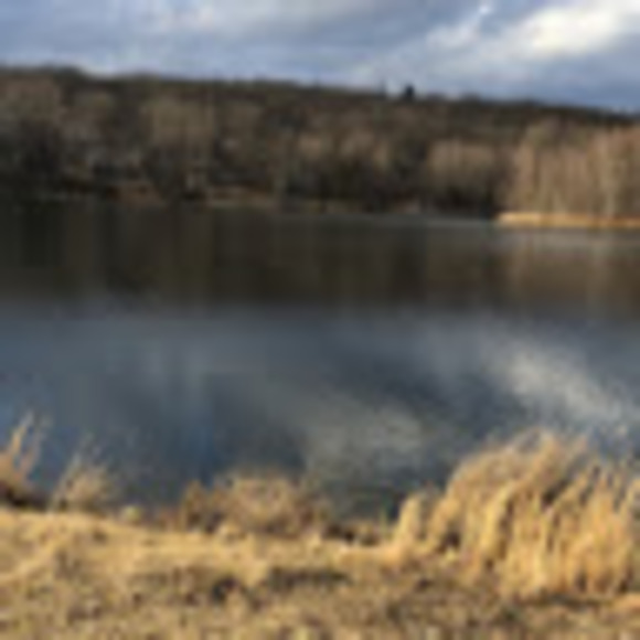 Meet your Posher, Debbie - Picture 1 of 1